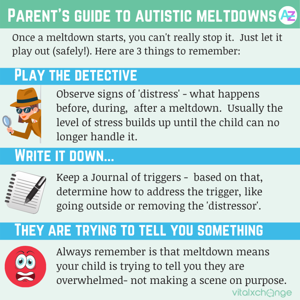 A parents guide to autistic meltdowns by Plan A-Z