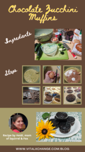 Chocoloate Muffin Recipe Infograpic on Vitalxchange
