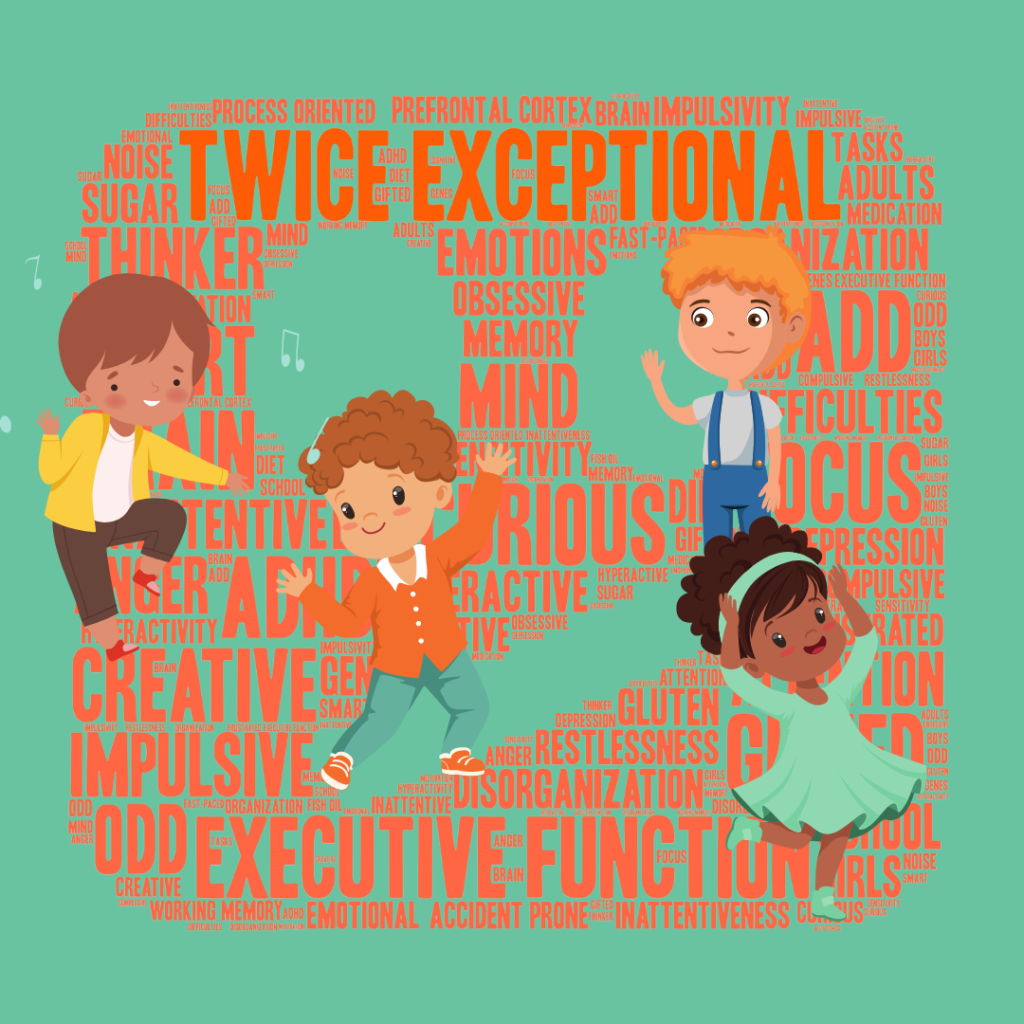 Facts about twice exceptional children