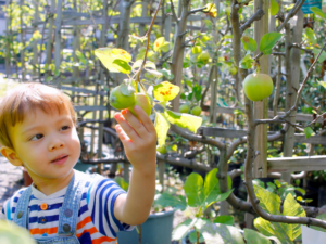 Sensory Play for Toddlers