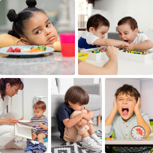 Typical Behaviors Addressed
